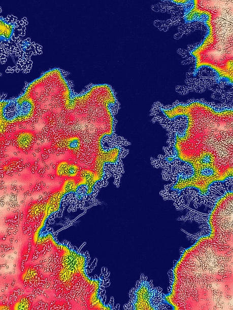 istock Leaves and lichens infrared 1430318365