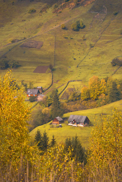 istock Carpathian village on a mountain hill 1430318494