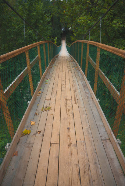 istock Wooden suspension bridge over the river 1430318920