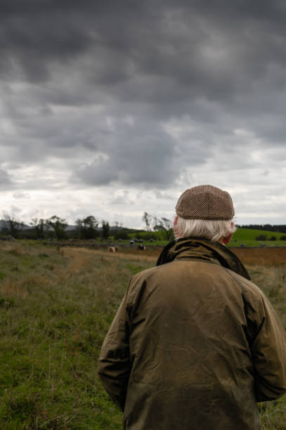 istock Rear view of a mature man looking at a field 1430318935