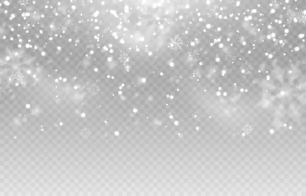 Vector illustration of Vector snow. Snow png. Snow on an isolated transparent background. Snowfall, blizzard, winter, snowflakes png. Christmas image.