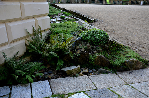 rockery on the corner of the house, rock formations with flowers and ferns. Balustrades railings terrace. paving made of jamen boards of the ancient courtyard. shade-loving flowers, filix , femina, mas, dryopteris