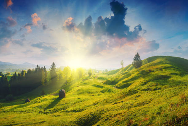 istock Carpathian amazing morning 1430324158