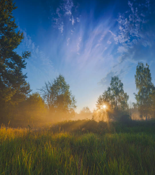 Majestic bright sunrise in a misty green valley