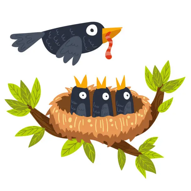 Vector illustration of bird nest with chicks, bird feeds chicks, vector illustration