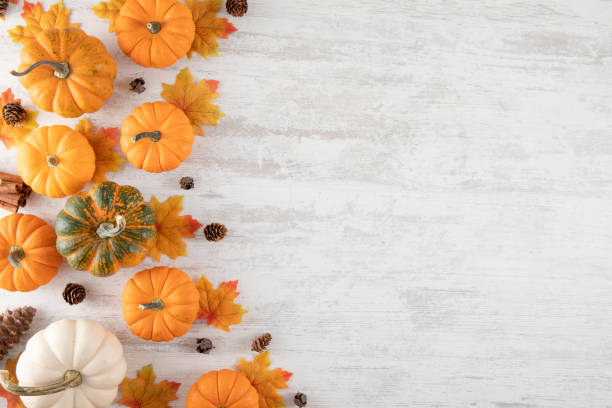 istock Happy Thanksgiving and Autumn Backgrounds 1430328932