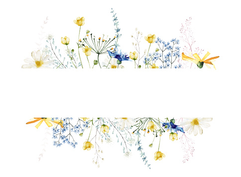 Watercolor painted floral strip frame on white background. Blue and yellow wild flowers, branches, leaves and twigs. Chamomile, daisy, cornflower and so on.