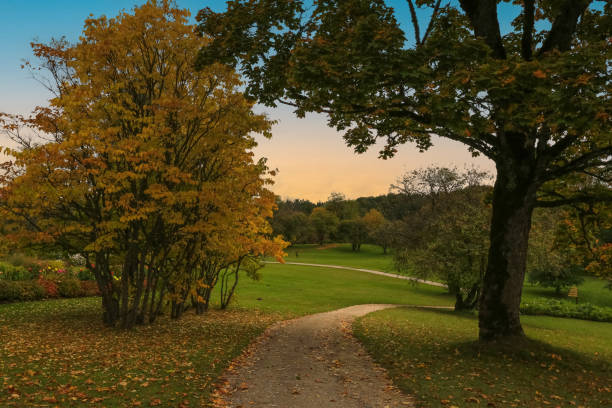 istock Autumn in Gauja National Park, Latvia 1430341062