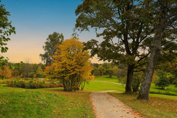 istock Autumn in Gauja National Park, Latvia 1430341091