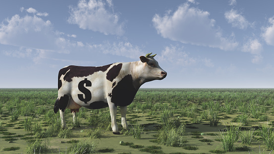 Cow with dollar sign stands on green field. 3D rendering