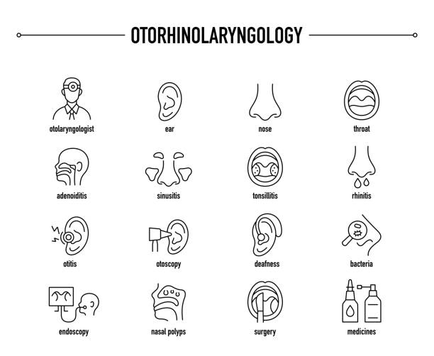 ilustraciones, imágenes clip art, dibujos animados e iconos de stock de conjunto de iconos vectoriales de otorrinolaringología - otorrino