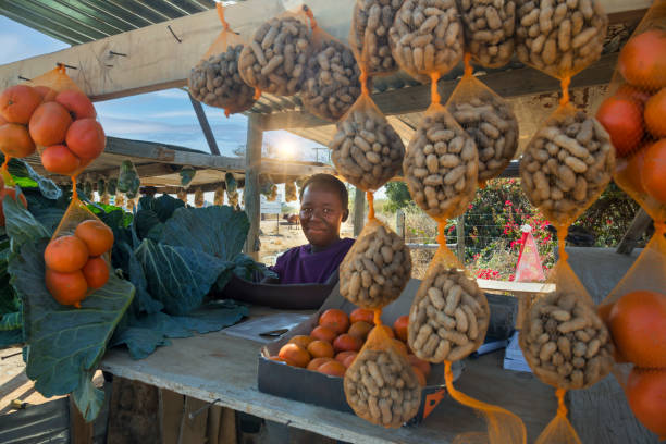 street vendor africa street vendor in africa selling peanuts oranges and cabbage botswana stock pictures, royalty-free photos & images