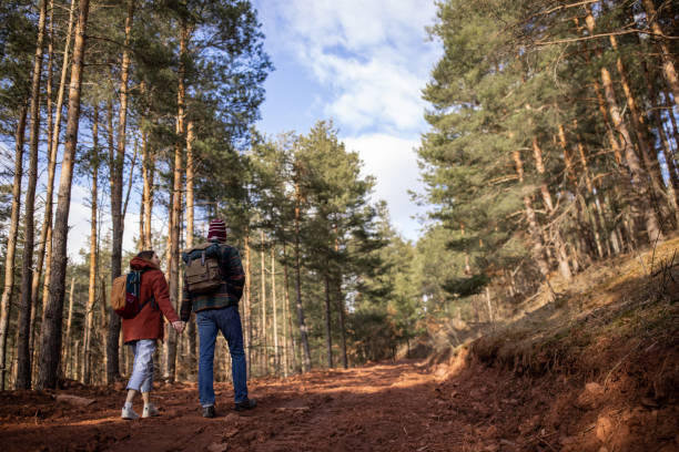 istock Young couple walking together in a forest 1430346854