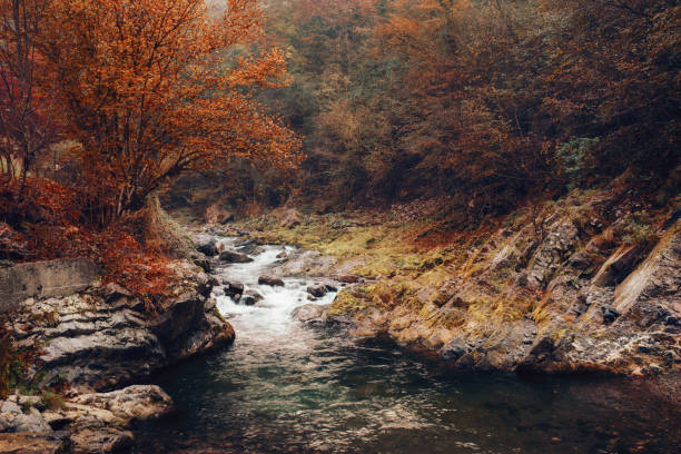 Beautiful landscape and river in Autumn