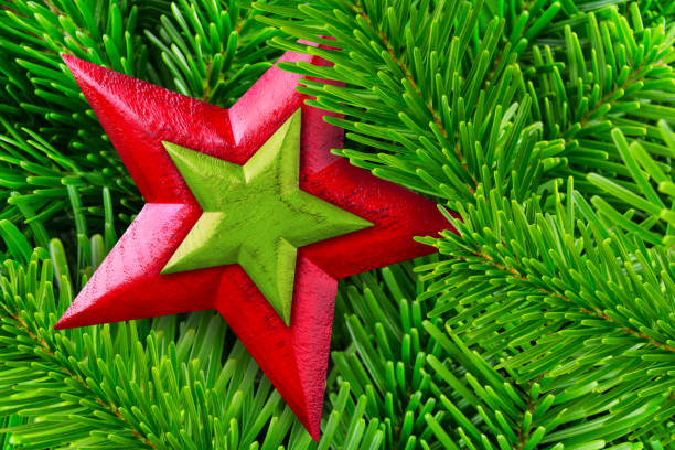 Christmas Decoration Hanging on Tree