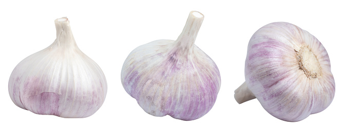 Set of garlic bulb isolated on white background