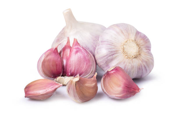 istock Isolated garlic. Raw whole garlic clove isolated on white background 1430369451