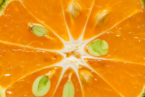 macro orange background,Heap of fresh orange slices background. Healthy nutrition with vitamin c. Close up view.