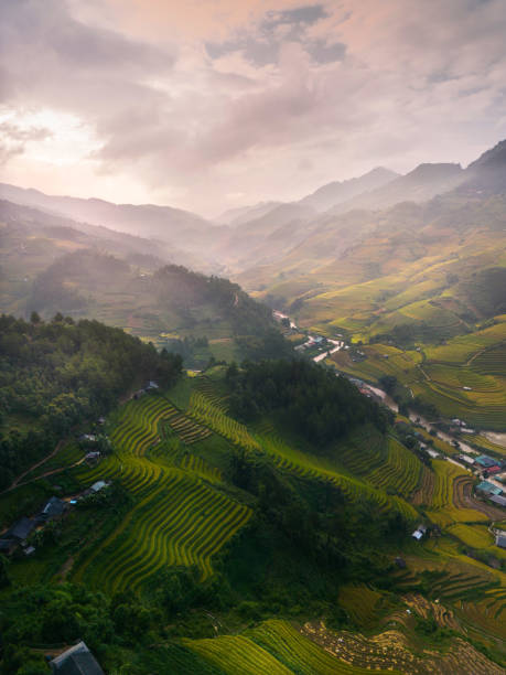 Aerial view of golden rice terraces at Mu cang chai town near Sapa city, north of Vietnam. Beautiful terraced rice field in harvest season in Yen Bai, Vietnam Aerial view of golden rice terraces at Mu cang chai town near Sapa city, north of Vietnam. Beautiful terraced rice field in harvest season in Yen Bai, Vietnam. Travel and landscape concept. Selective focus south east asia choicepix stock pictures, royalty-free photos & images