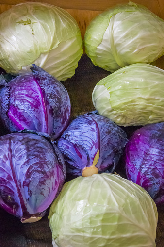 Fresh heads of cabbage displayed at a roadside farm market in central Massachusetts