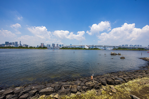 Wide view of Tokyo bay, public park and urban buildings