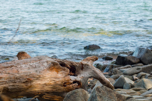 istock lake Baikal in autumn and summer 1430386490