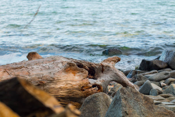 istock lake Baikal in autumn and summer 1430386584