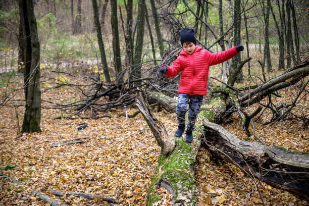 istock A child walking across a fallen tree going across a river in the 1430394603