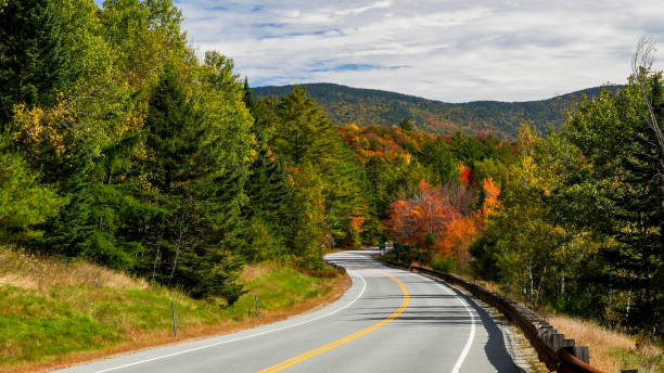 istock Road with autumn colored leaves and sky 1430396587