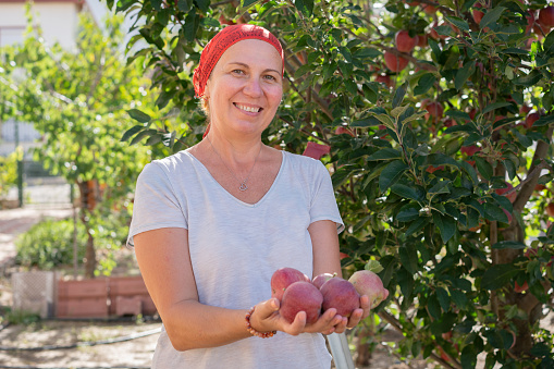 Mature farmer woman holding a Apple fruits