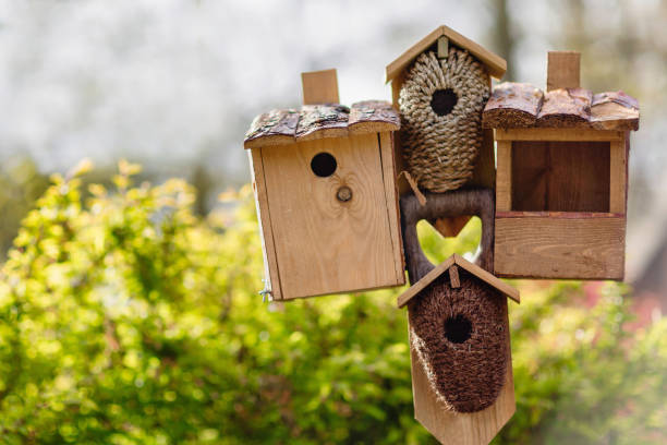 istock Several birdhouses and a bird feeder on a stick. 1430398122