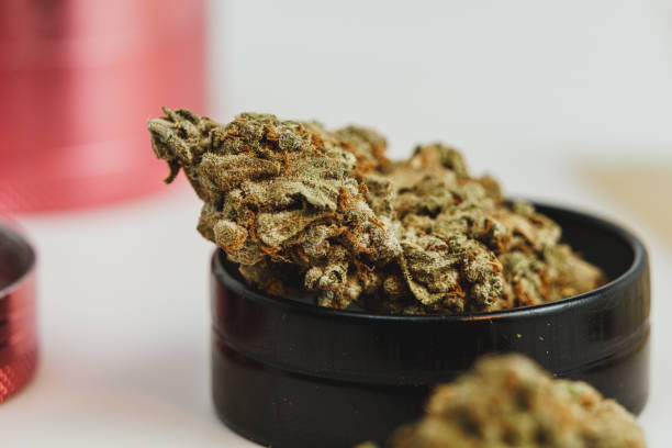 istock Marijuana buds on white background, close up. 1430414136