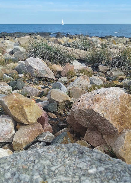 istock Rocky coastal beach, montevideo, uruguay 1430414996