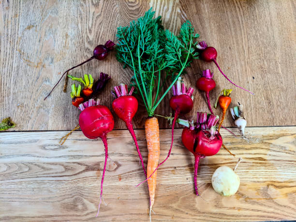 Carrots and beetroots on a kitchen table after being harvested from a vegetable garden.