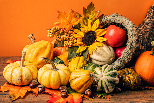 A close up of a cornucopia filled with festive gourds and apples for a Thanksgiving celebration photographed on an orange background.