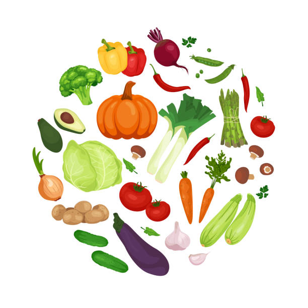 коллекция фермерского продукта органического эко овощного векторного круга выделена на белом фоне. плоские иллюстрации к меню ресторана, � - leek food nature vegetable stock illustrations