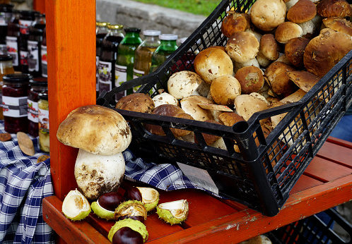 Freshly picked porcini mushrooms for sale at a street fair in autumn day