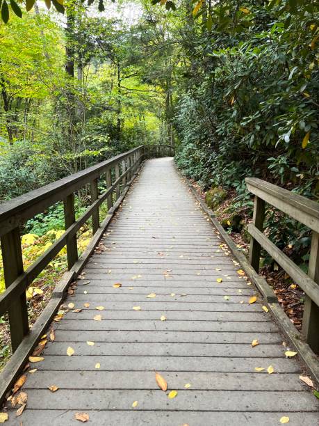 istock Wooden Boardwalk and Steps in Delaware Water Gap 1430429034