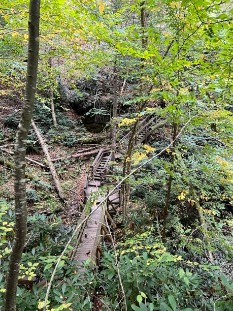 istock Wooden Boardwalk and Steps in Delaware Water Gap 1430429149