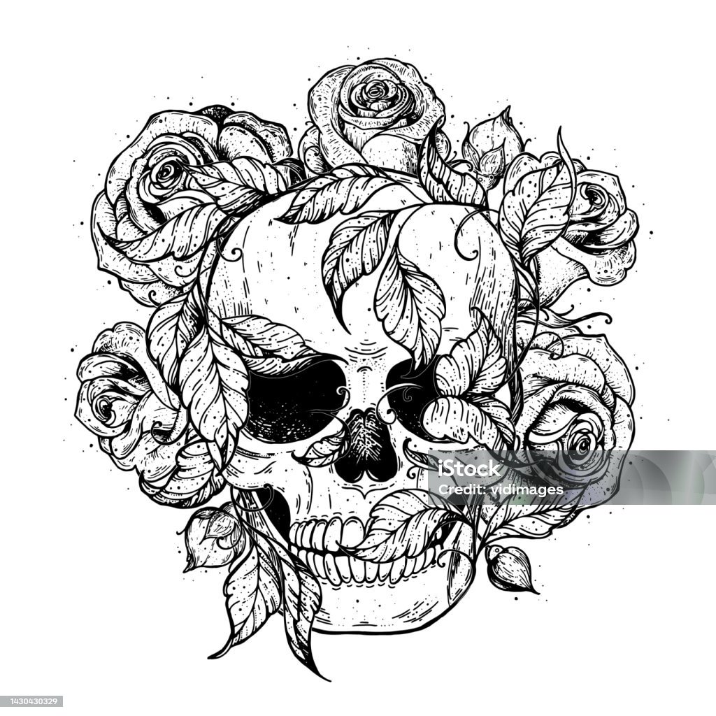Ilustración de Calavera Y Flores Dibujadas A Mano Tatuaje Estampado Vintage Calavera Y Rosas Estampado Floral y más Vectores Libres de Derechos de Abstracto - iStock Ilustración de Calavera Y Flores Dibujadas A Mano Tatuaje Estampado Vintage Calavera Y Rosas Estampado Floral y más Vectores Libres de Derechos de Abstracto - iStock