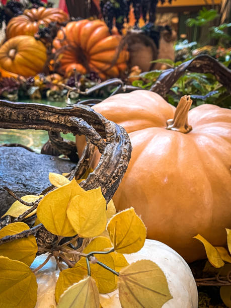 istock The colors of fall 1430442284