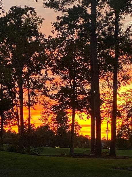istock Sunset south Louisiana 1430444317