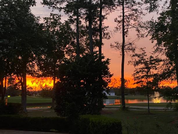 istock Sunset south Louisiana 1430444331