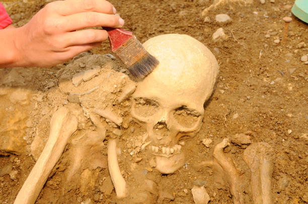 istock archaeology at the cemetery or burial ground 1430445095