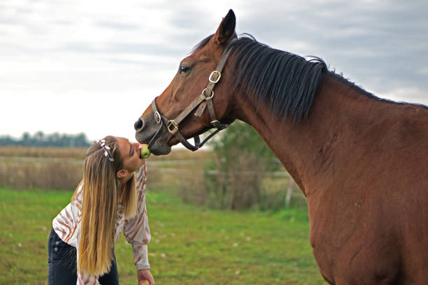 istock Horses are beautiful and dear animals 1430458894