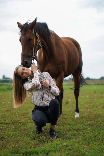 istock Horses are beautiful and dear animals 1430458896
