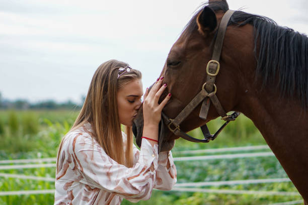 istock Horses are beautiful and dear animals 1430458931