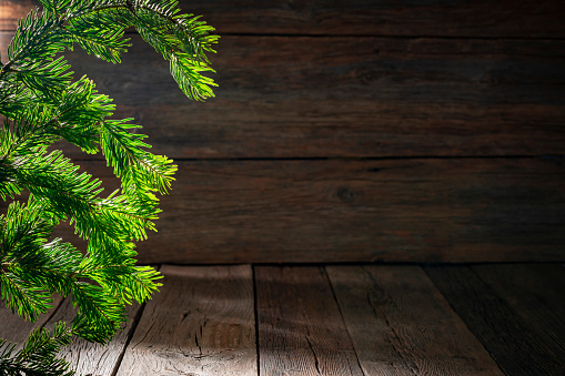Christmas fir tree background with dark wooden copy space real fir tree natural branch