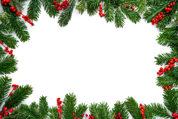istock Christmas fir tree and holly berries border frame isolated on white copy space 1430462251