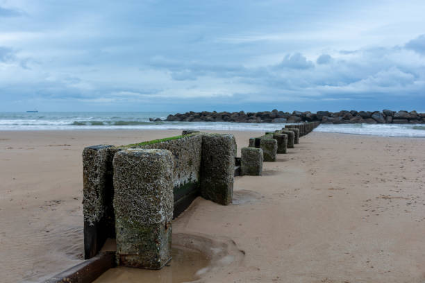 istock Scottish coast, North Sea, beautiful seascape 1430469760
